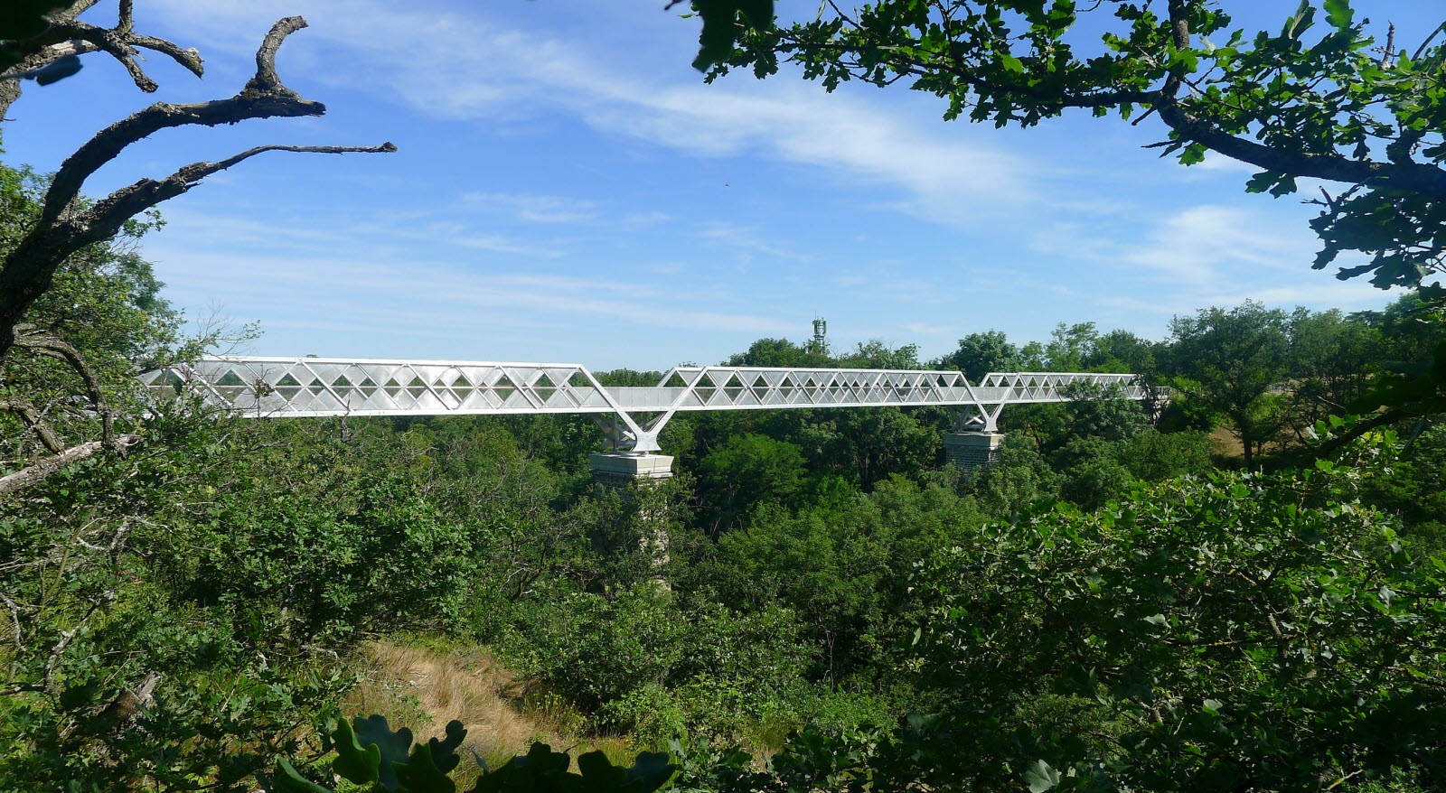 Viaduc sur l'Yzeron – Photo © Thierry Huot – Le Progrès