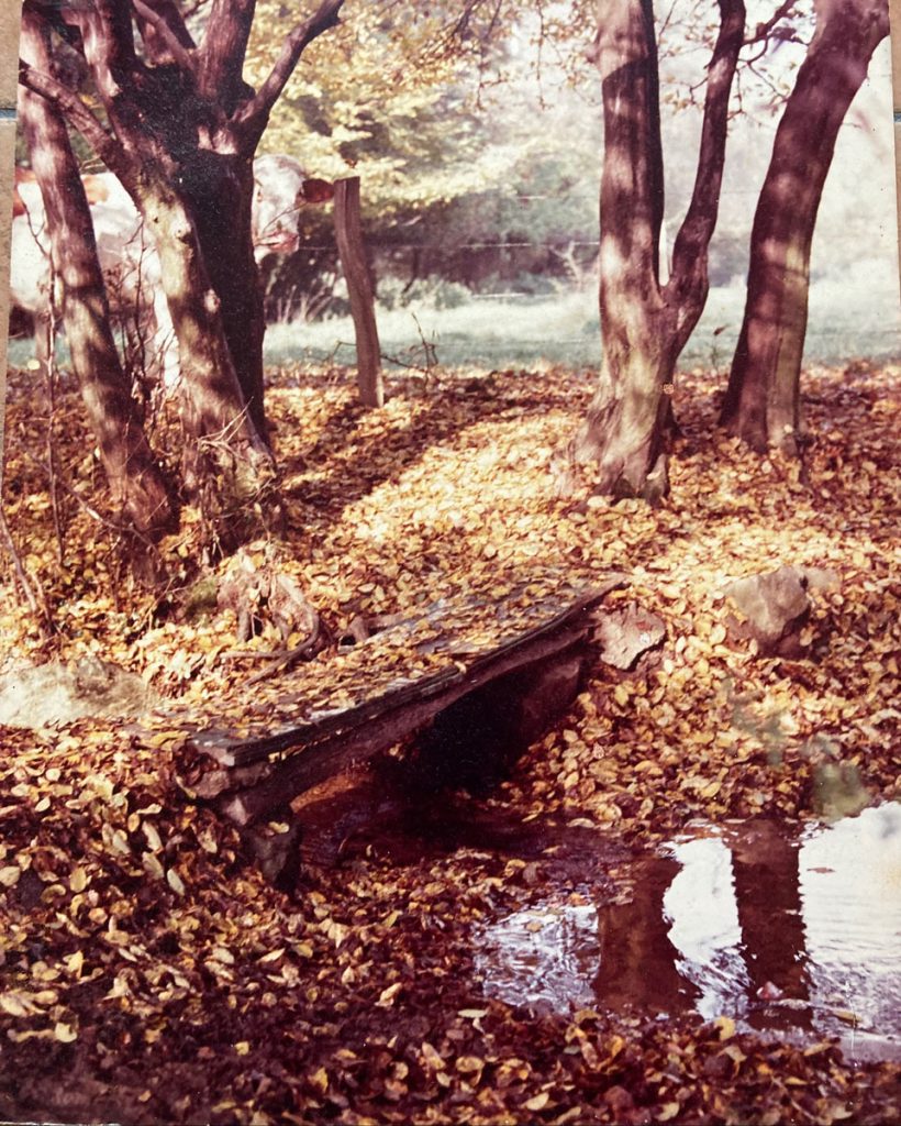 Ancien Pont sur le Chêne et le Bouleau - 1980 © Marie-Agnès Voisin